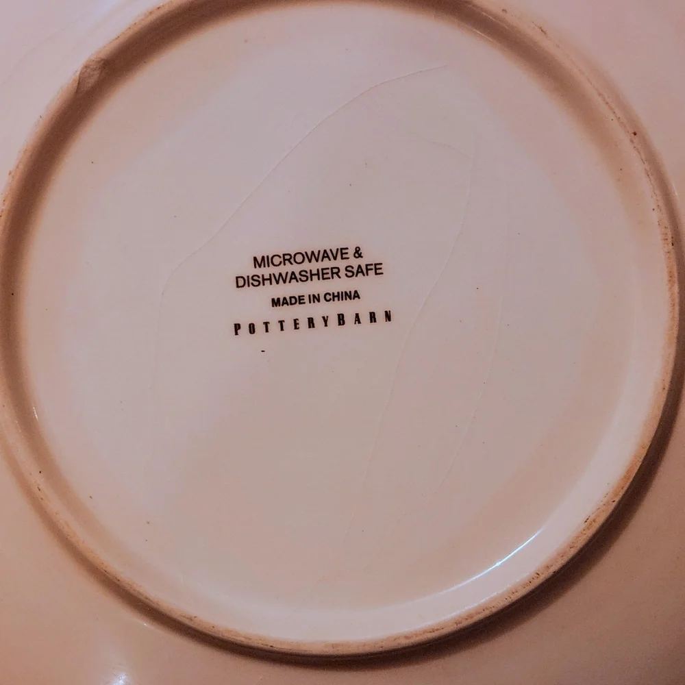 POTTERY BARN Set Of 4 Leopard Print 8 Inch Salad Plates